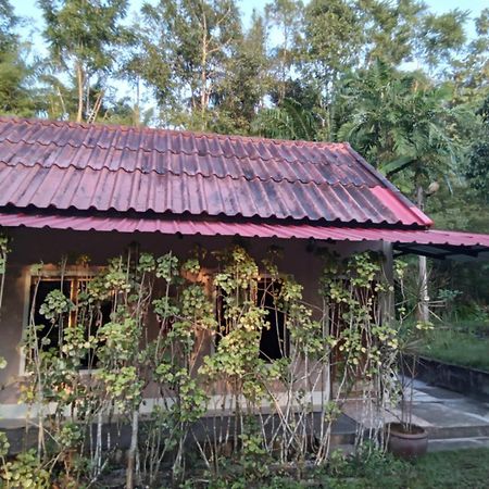 Suan Bang Bon Guest House Plai Phraya Zewnętrze zdjęcie