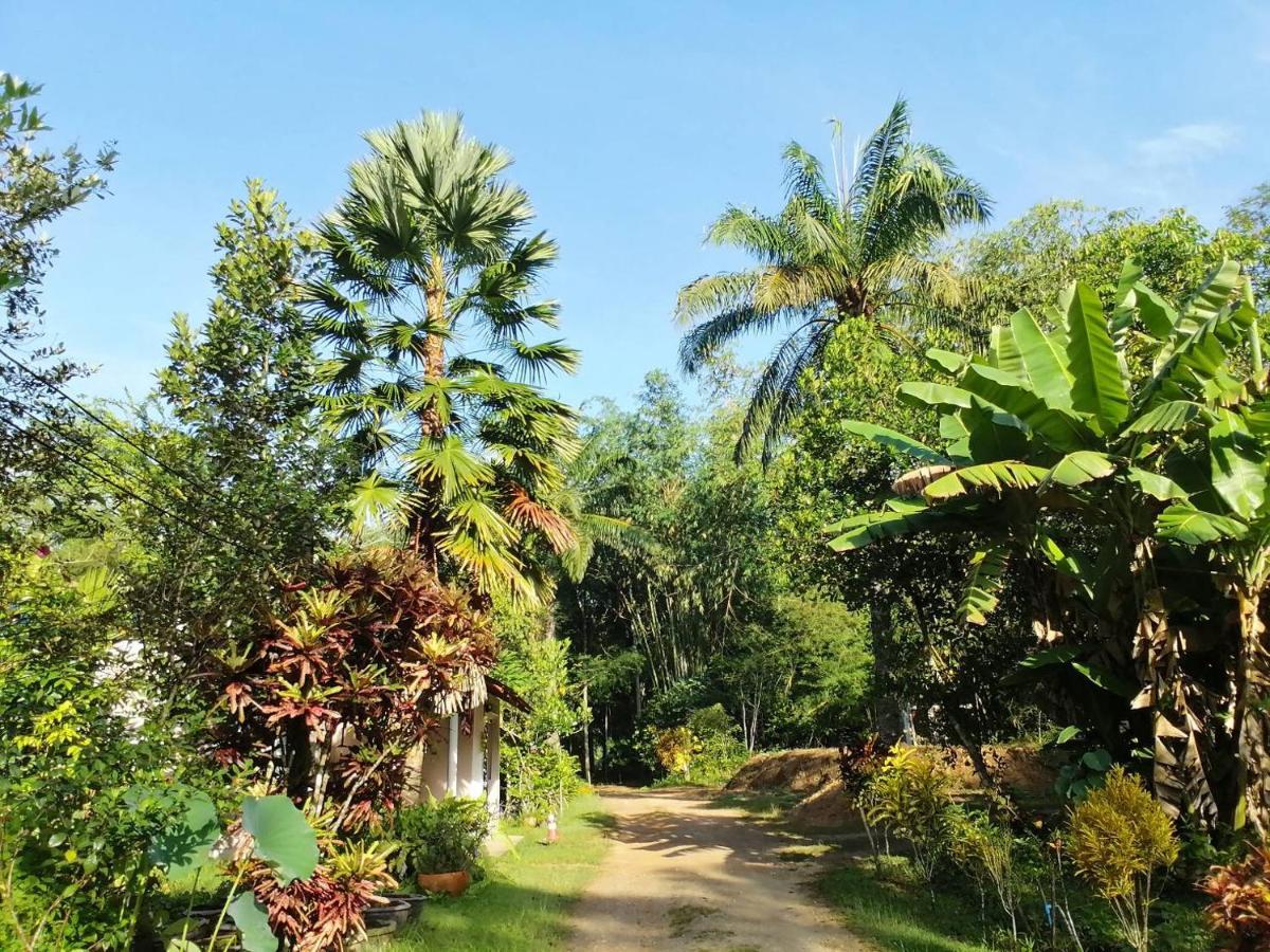 Suan Bang Bon Guest House Plai Phraya Zewnętrze zdjęcie