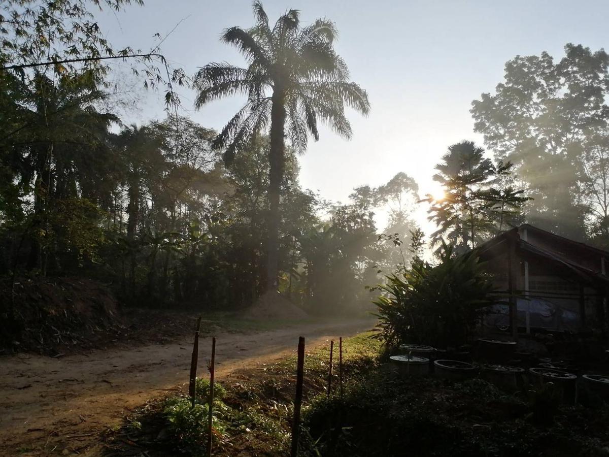 Suan Bang Bon Guest House Plai Phraya Zewnętrze zdjęcie