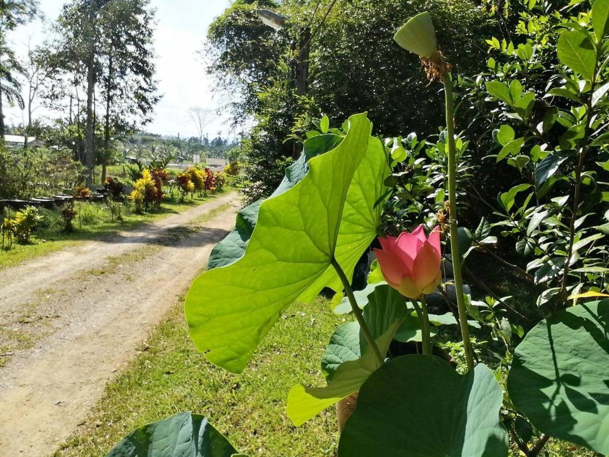 Suan Bang Bon Guest House Plai Phraya Zewnętrze zdjęcie