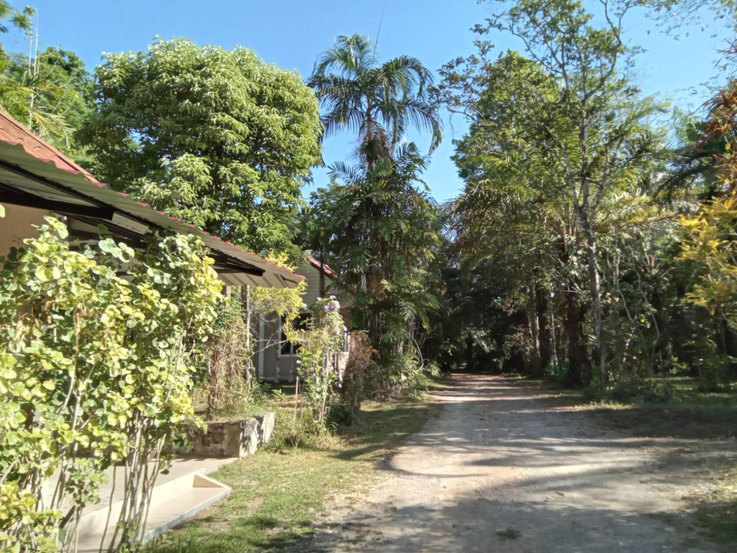 Suan Bang Bon Guest House Plai Phraya Zewnętrze zdjęcie