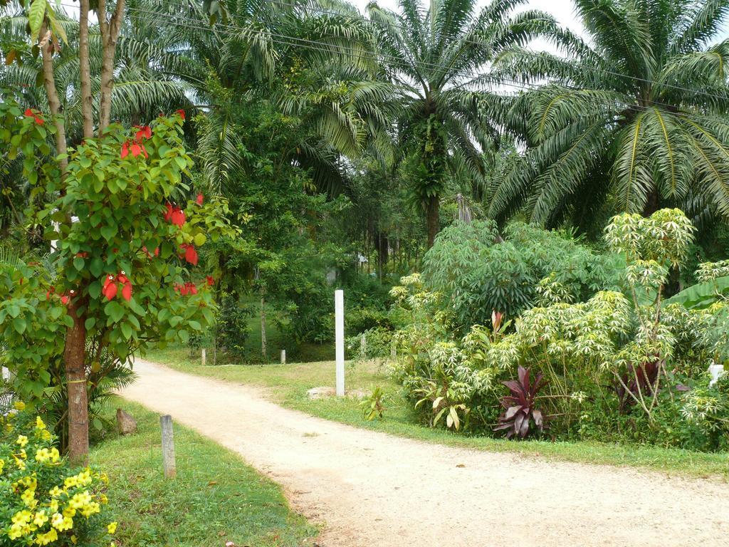 Suan Bang Bon Guest House Plai Phraya Zewnętrze zdjęcie