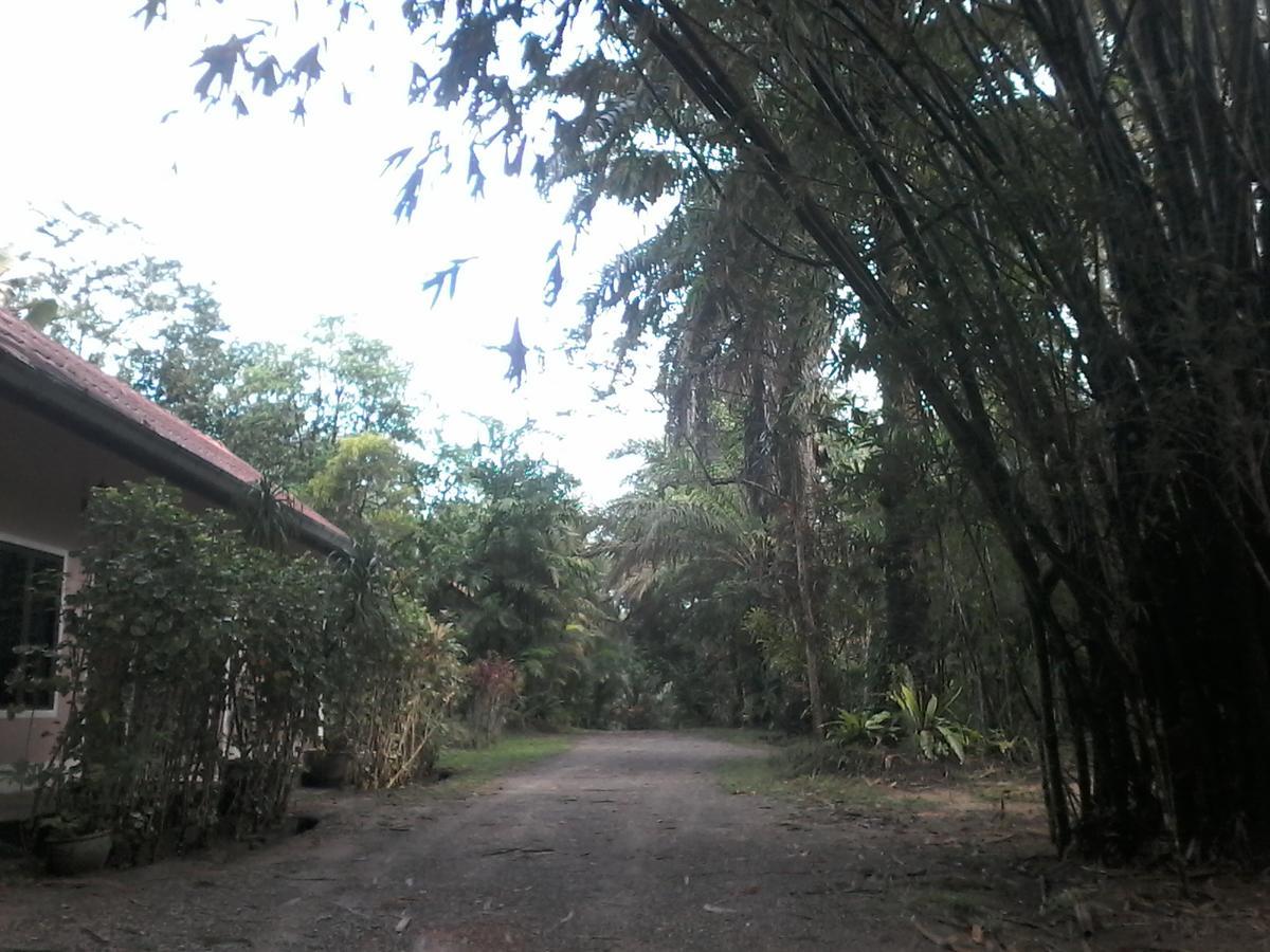 Suan Bang Bon Guest House Plai Phraya Zewnętrze zdjęcie